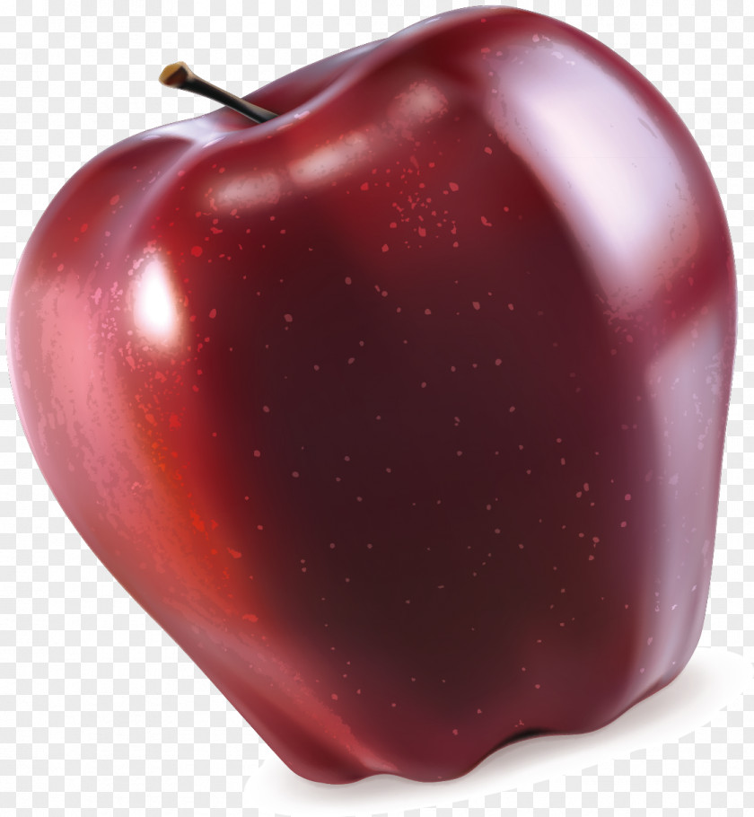 Red Apple Vector Euclidean PNG