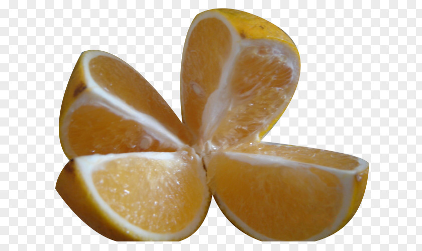 A Cut Orange Image Material Juice Lemon PNG
