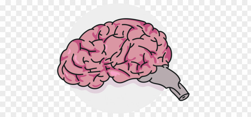 Brain Pink M Neurology PNG