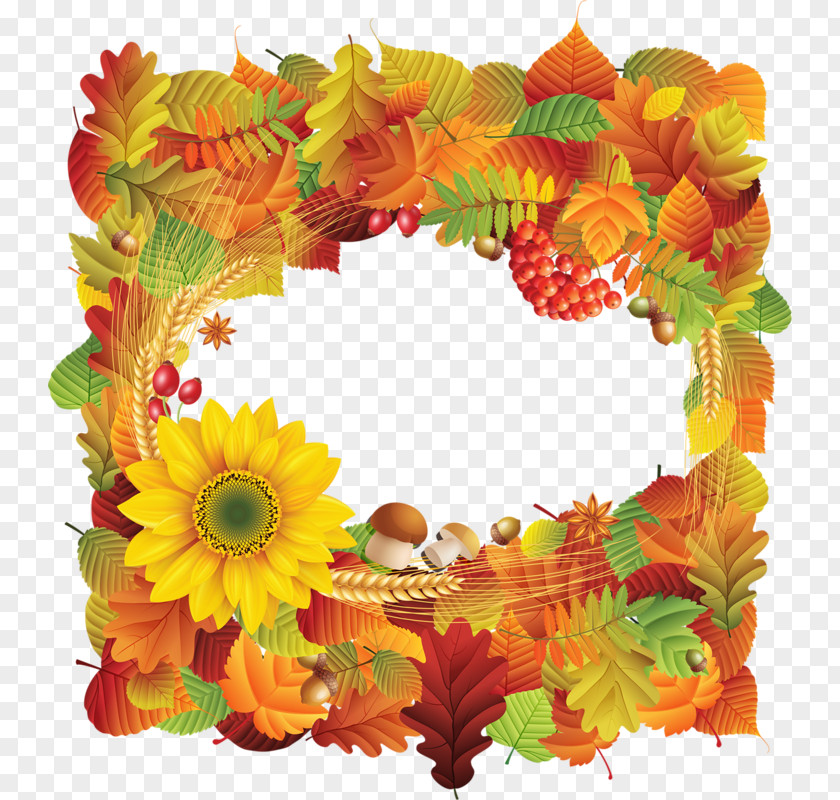 Flower Floral Design Border Flowers Picture Frames Cut PNG