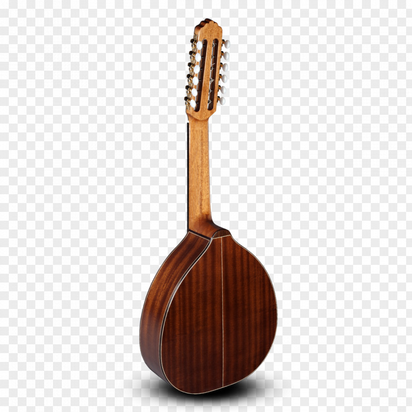 Musical Instruments Tiple Octavina Bandurria Laúd Ukulele PNG