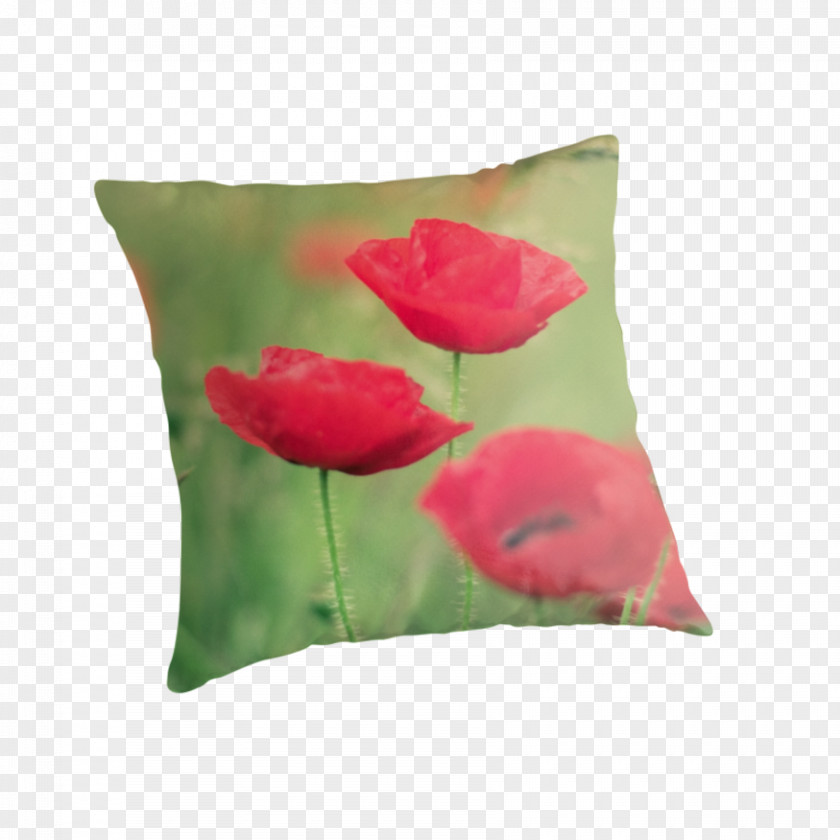 Red Poppy Throw Pillows Cushion Petal PNG