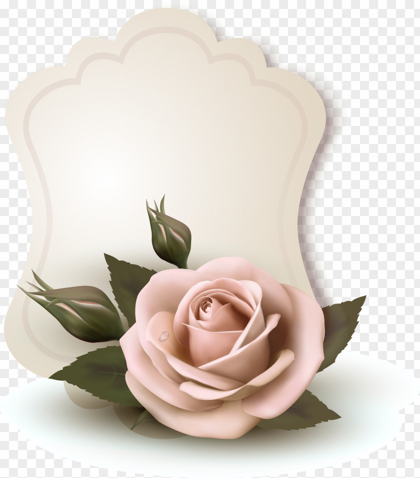 Rose Card Design Flower Illustration PNG