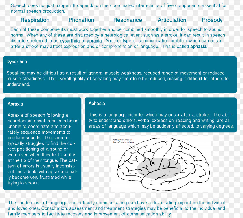 Speech Pathology Speech-language Apraxia Neurology PNG