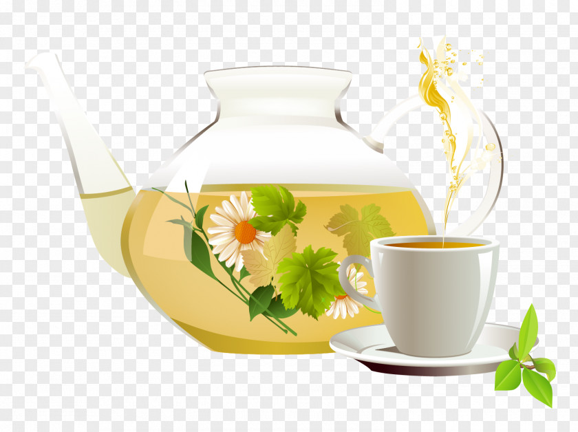 Vector Tea Cup Green Chrysanthemum White Herbal PNG