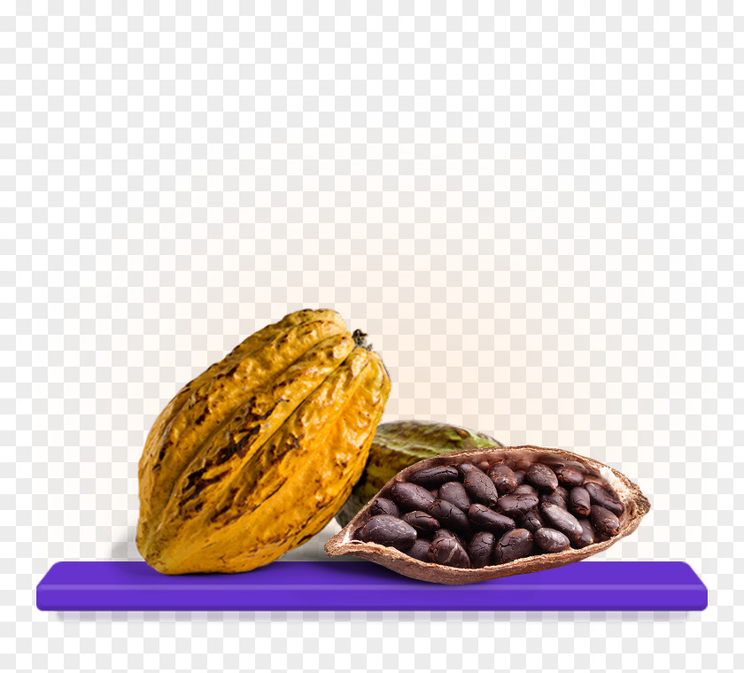 Chocolate Cocoa Bean Vegetarian Cuisine Theobroma Cacao PNG