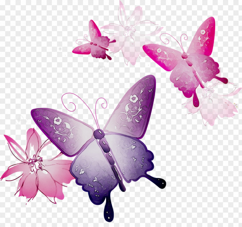 Clip Art Insect Image Vector Graphics PNG
