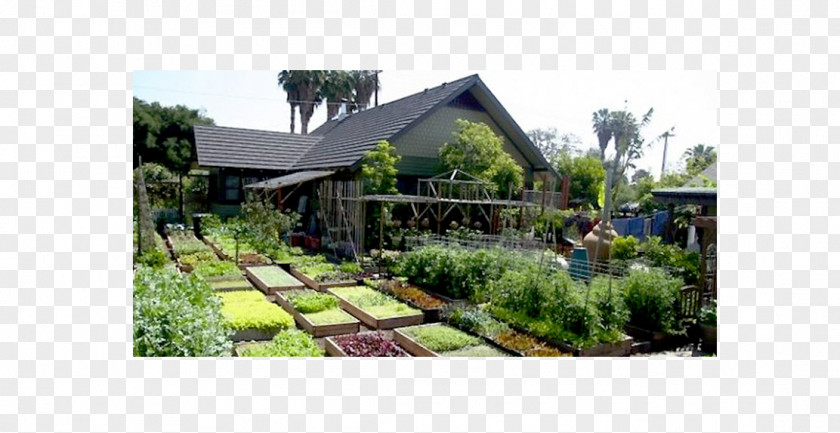 House Organic Food Restaurant Garden PNG