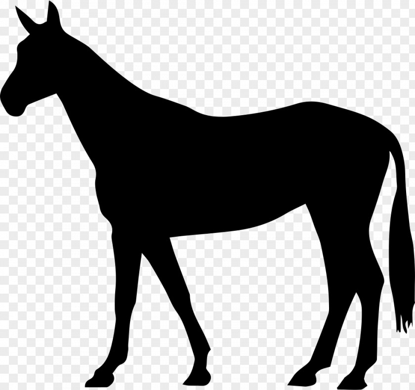 Mustang Arabian Horse American Quarter Friesian Pony PNG