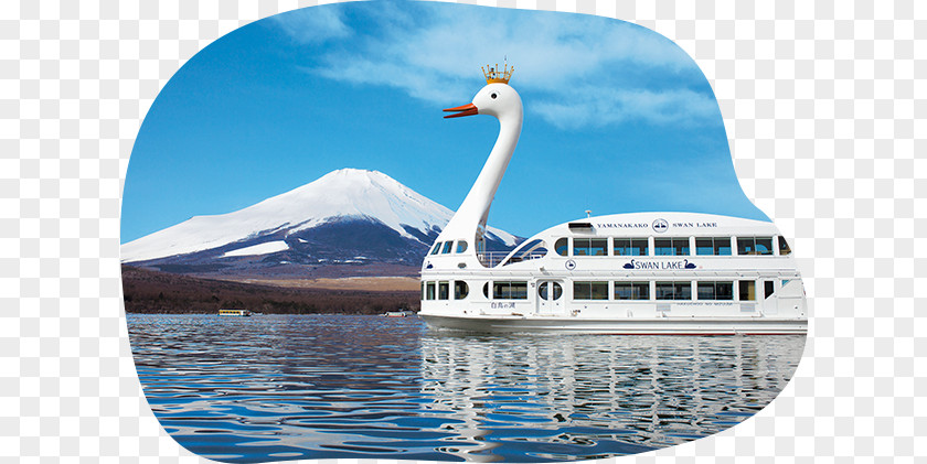 Sightseeing Boat Lake Yamanaka Mount Fuji Fuji-Q Highland Hotel Accommodation PNG