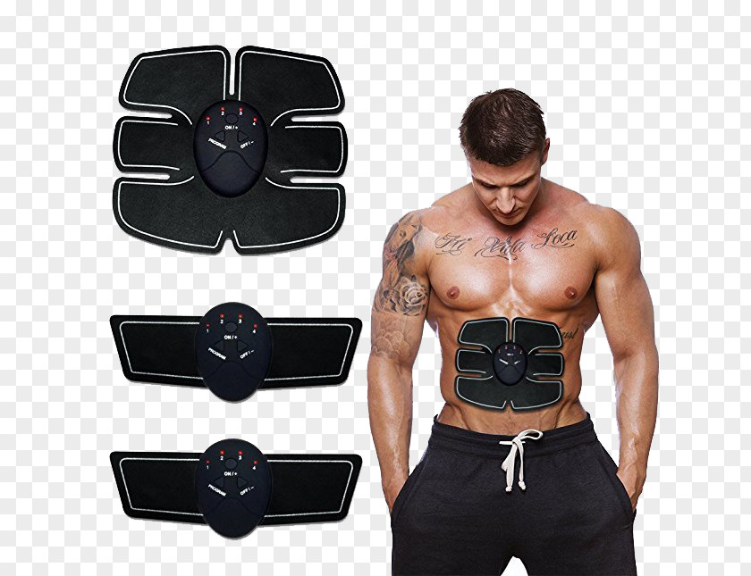 Electrical Muscle Stimulation Rectus Abdominis Muskeltrainer PNG