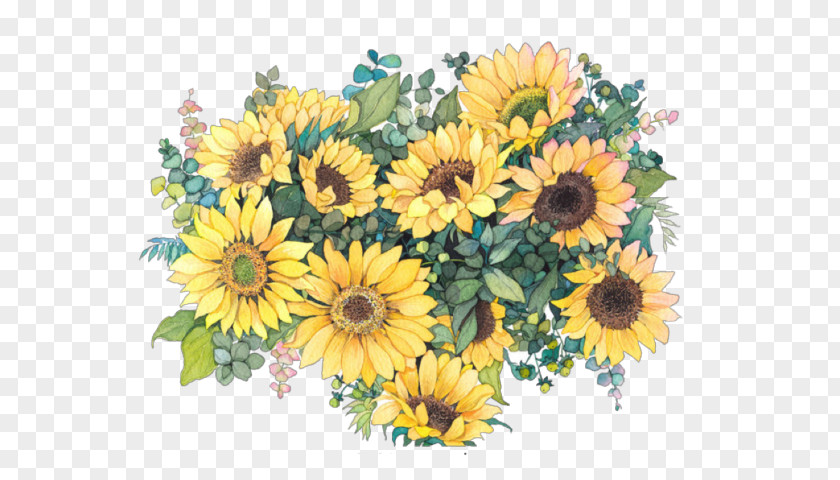 Flower Common Daisy Sunflower Watercolor Painting Drawing PNG