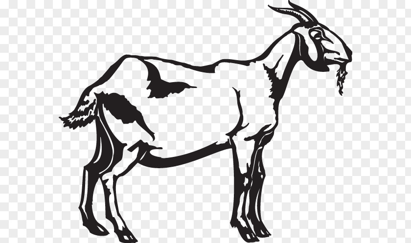 Goat Drawing Clip Art Image Openclipart Black Bengal And White PNG