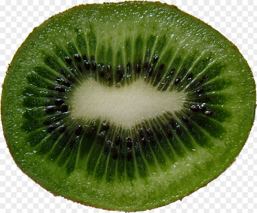 Green Cutted Kiwi Image Actinidia Deliciosa Chinensis Kiwifruit Seed PNG