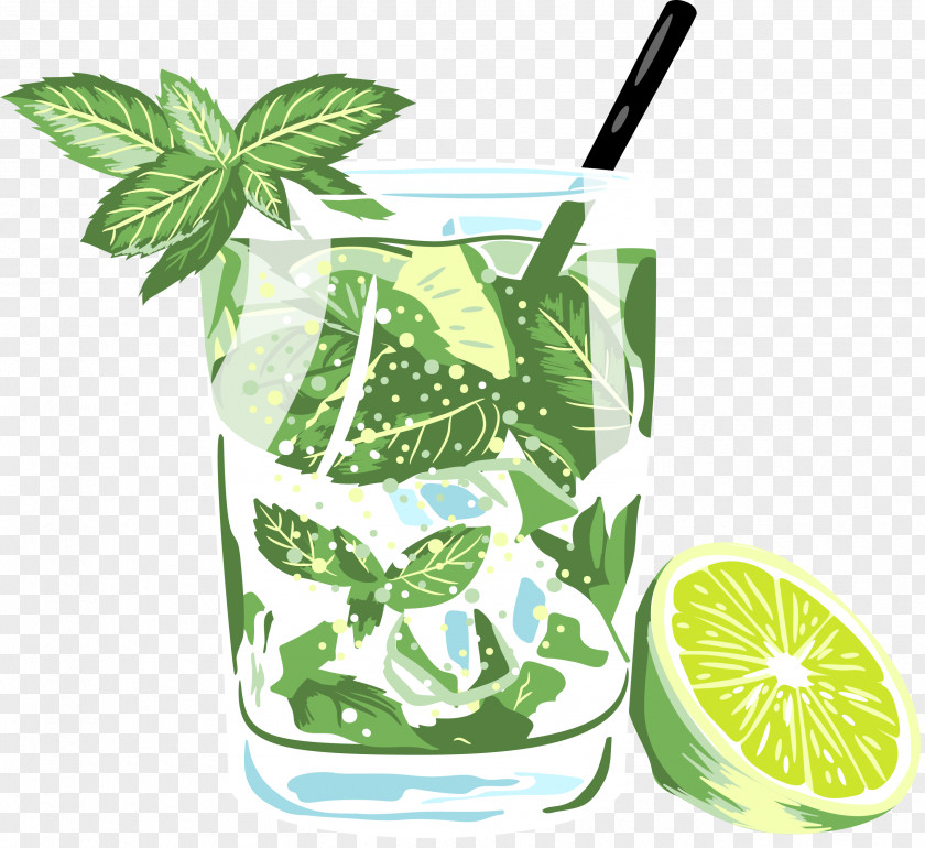 Hand Painted Summer Refreshing Drink Orange Juice Soft Mojito Cocktail PNG