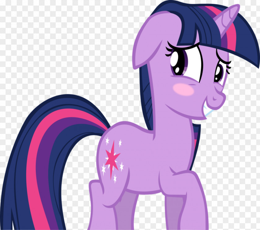 My Little Pony Twilight Sparkle Rarity Applejack Rainbow Dash The Saga PNG
