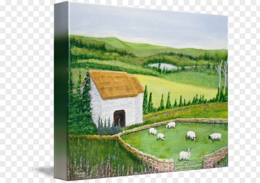 Sheep Farming Painting Ireland PNG