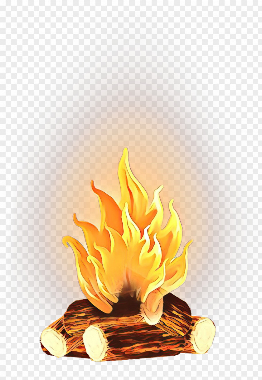 Still Life Photography Plant Flame Yellow Lighting Candle Fire PNG