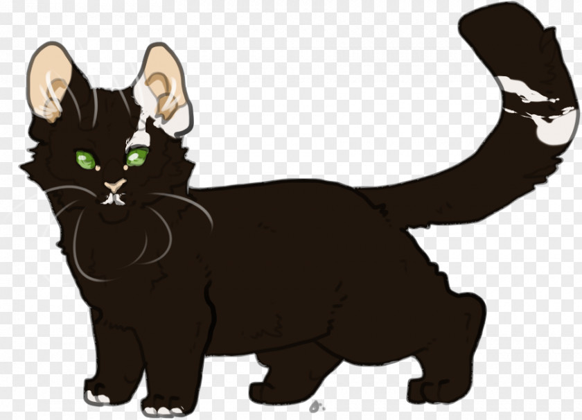 Ashen Black Cat Manx Kitten Whiskers Domestic Short-haired PNG