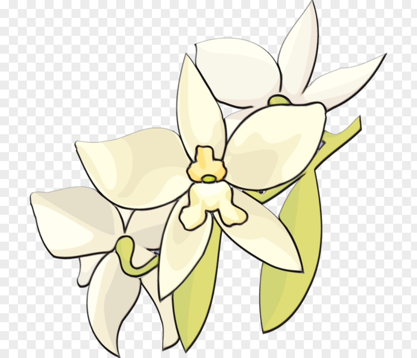 Cattleya Wildflower Web Design PNG