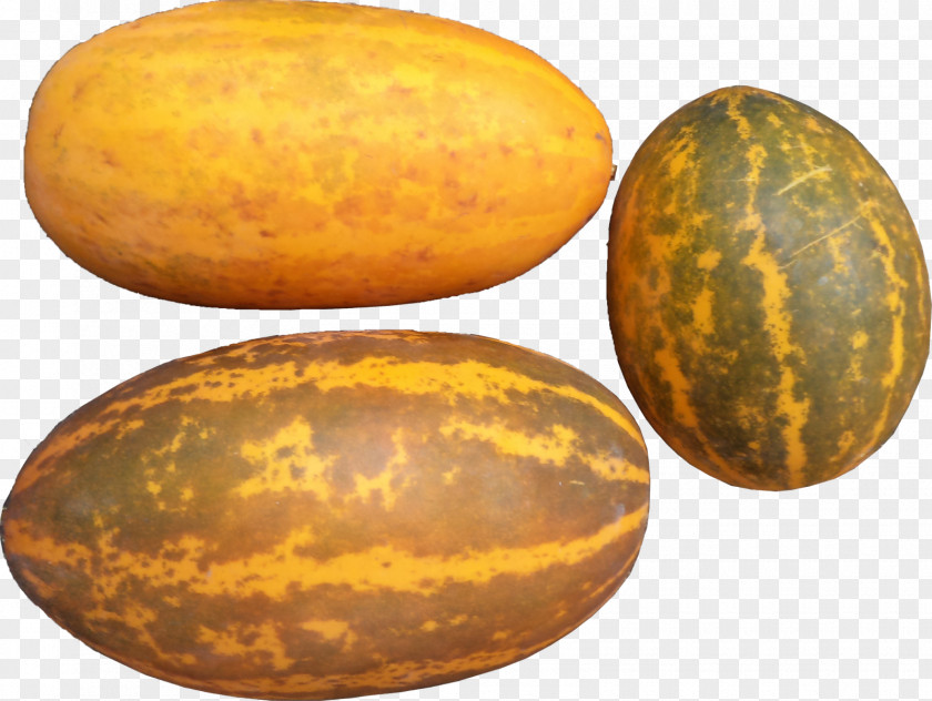 Cucumber Kerala Muskmelon Vegetable PNG