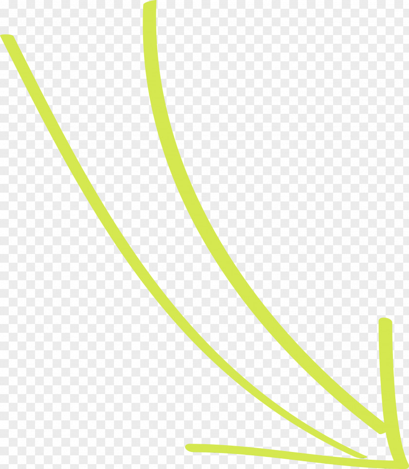 Green Line Yellow Leaf Plant PNG