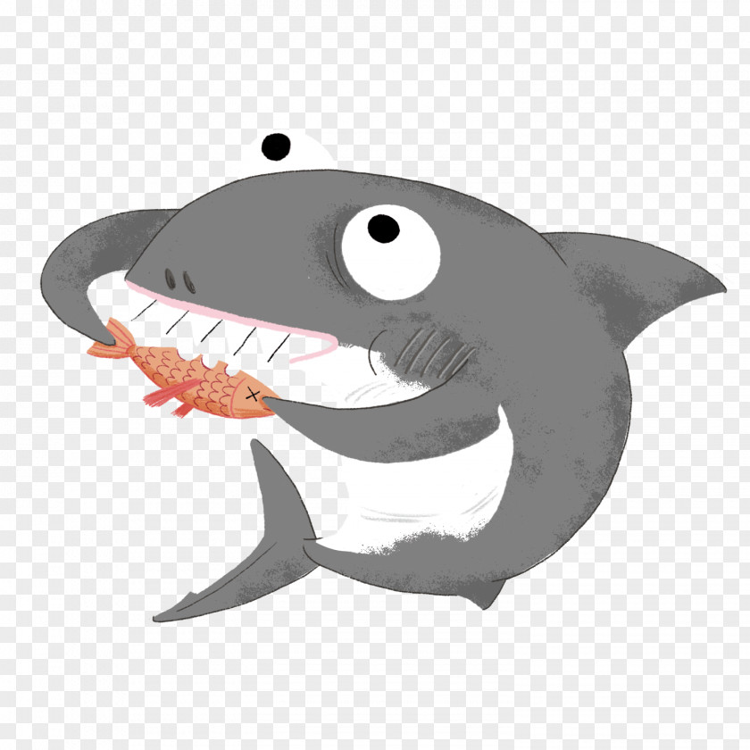 Shark Eating Seal How To Survive As A Great White Illustration Children's Literature PNG