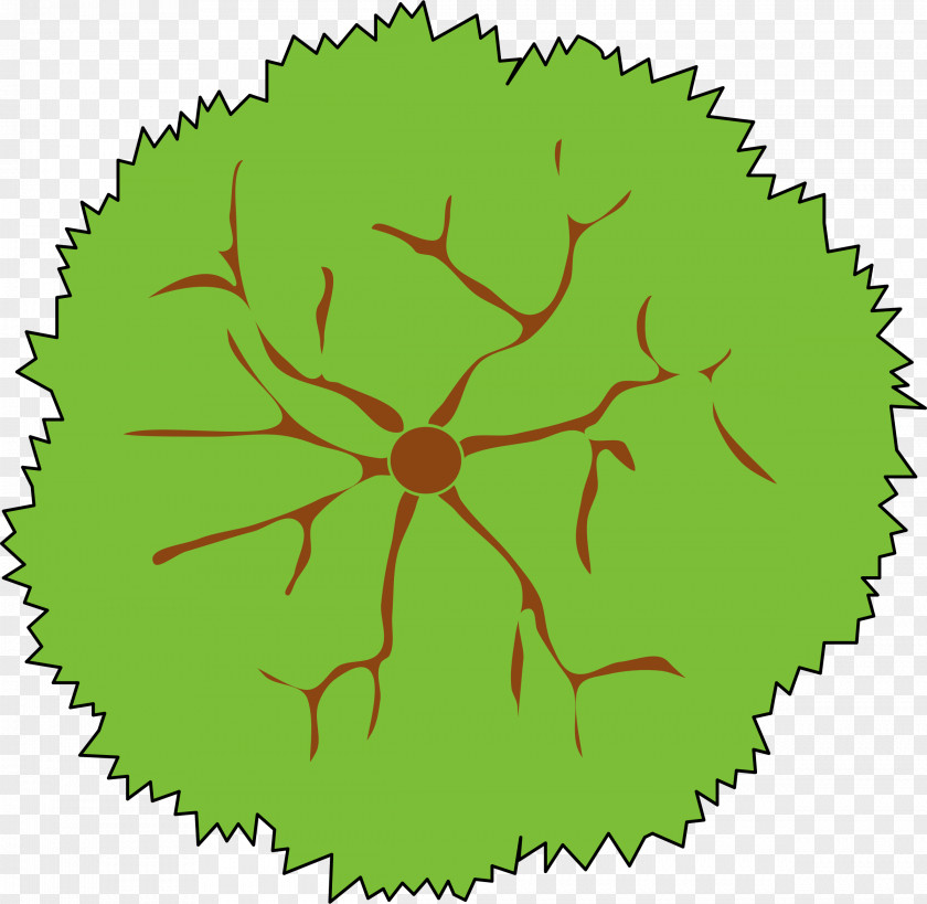 Wound Tree Shrub Clip Art PNG