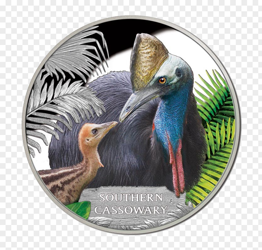 Cassowary Southern Tasmanian Devil Endangered Species Wedge-tailed Eagle Coin PNG