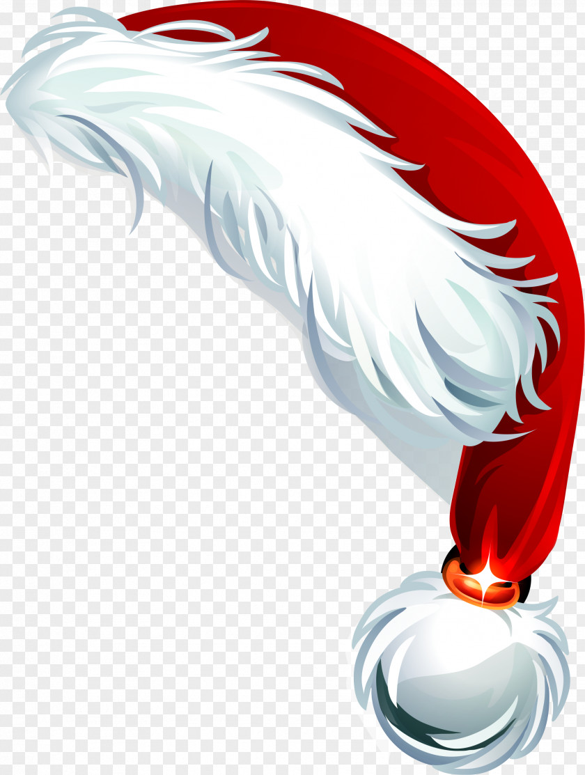 Christmas Hat Santa Claus Krampus Filhós PNG
