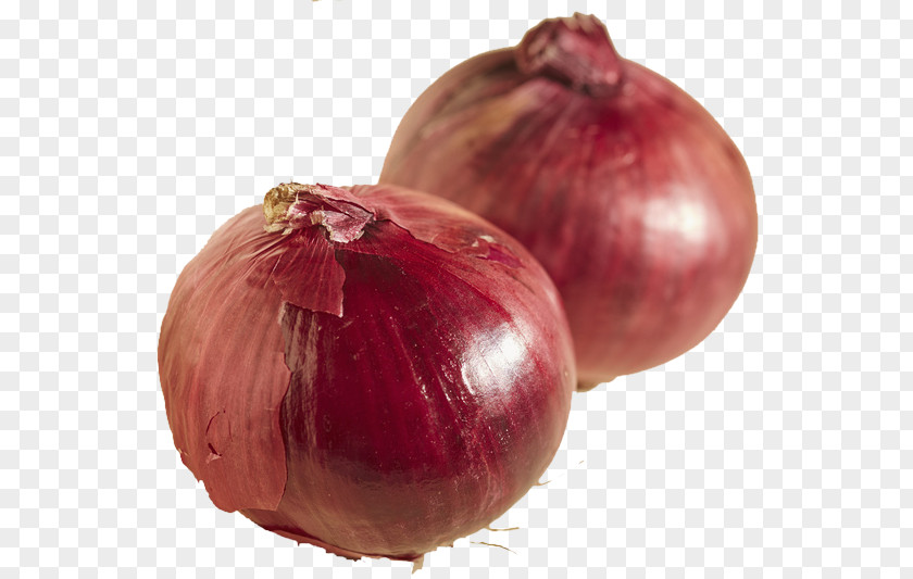 Fresh Onions Red Onion Shallot Yellow Superfood PNG