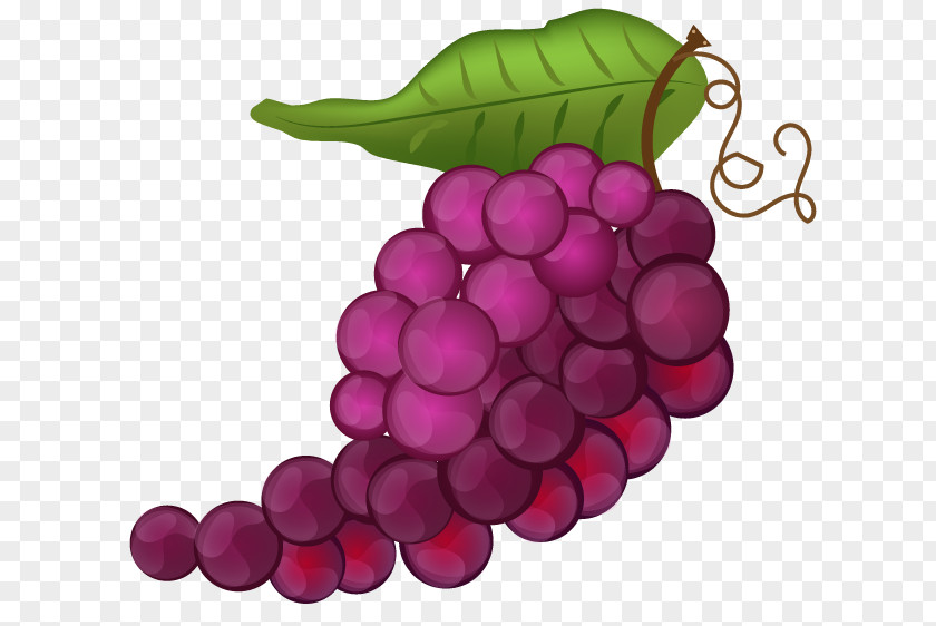 Grape Seed Extract Seedless Fruit PNG