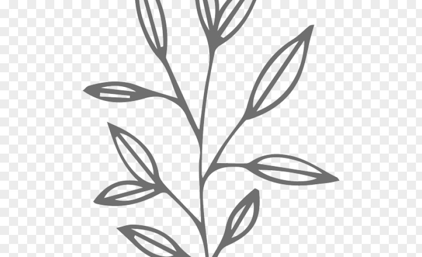 Leaf Plant Stem Wreath Clip Art PNG