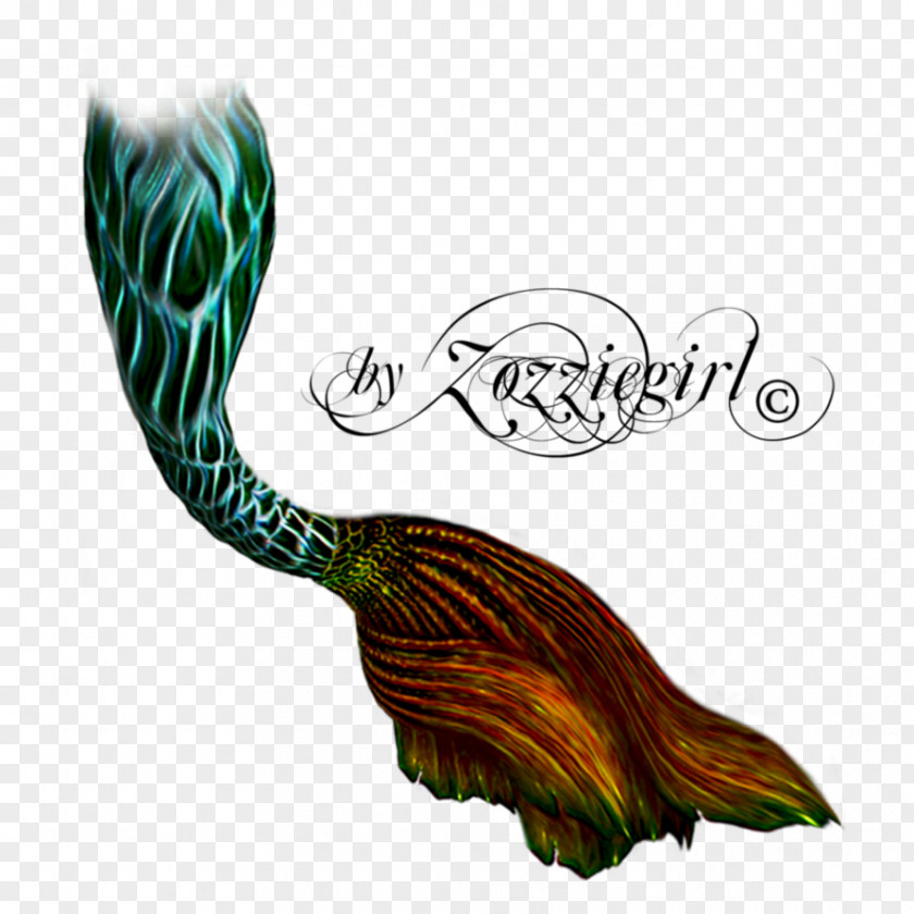 Mermaid Tail Clip Art PNG