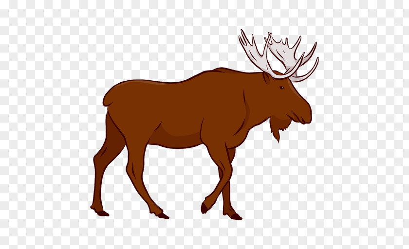 Moose Elk Vector Graphics Illustration Image Deer PNG