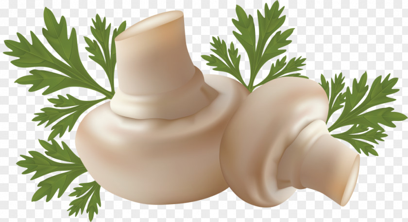 Mushroom Edible Common PNG