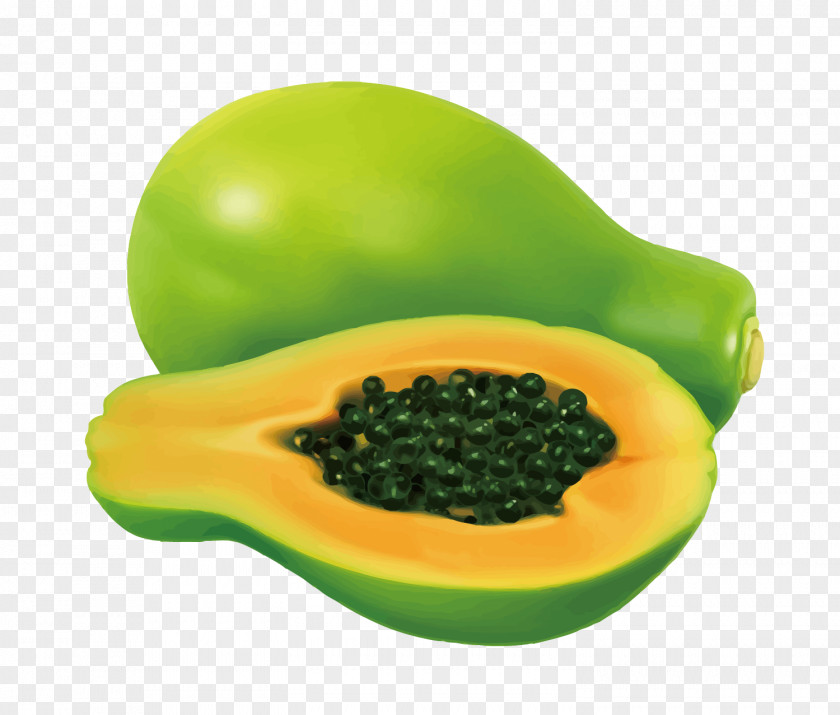 Vector Papaya Royalty-free Illustration PNG