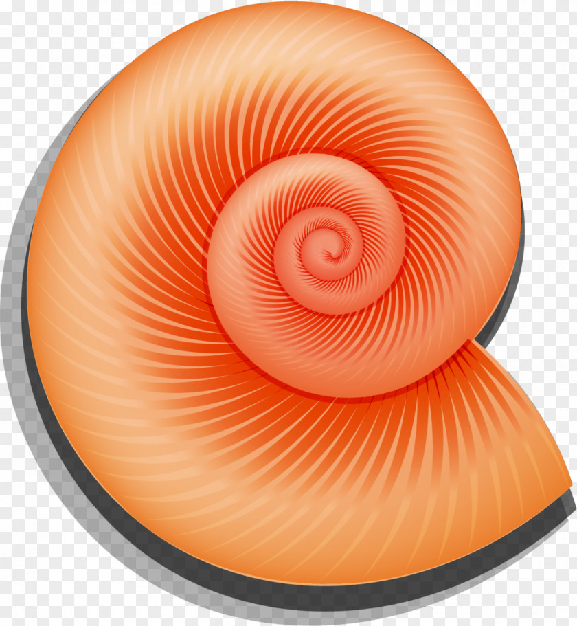 Hand Painted Red Snail Orthogastropoda Icon PNG