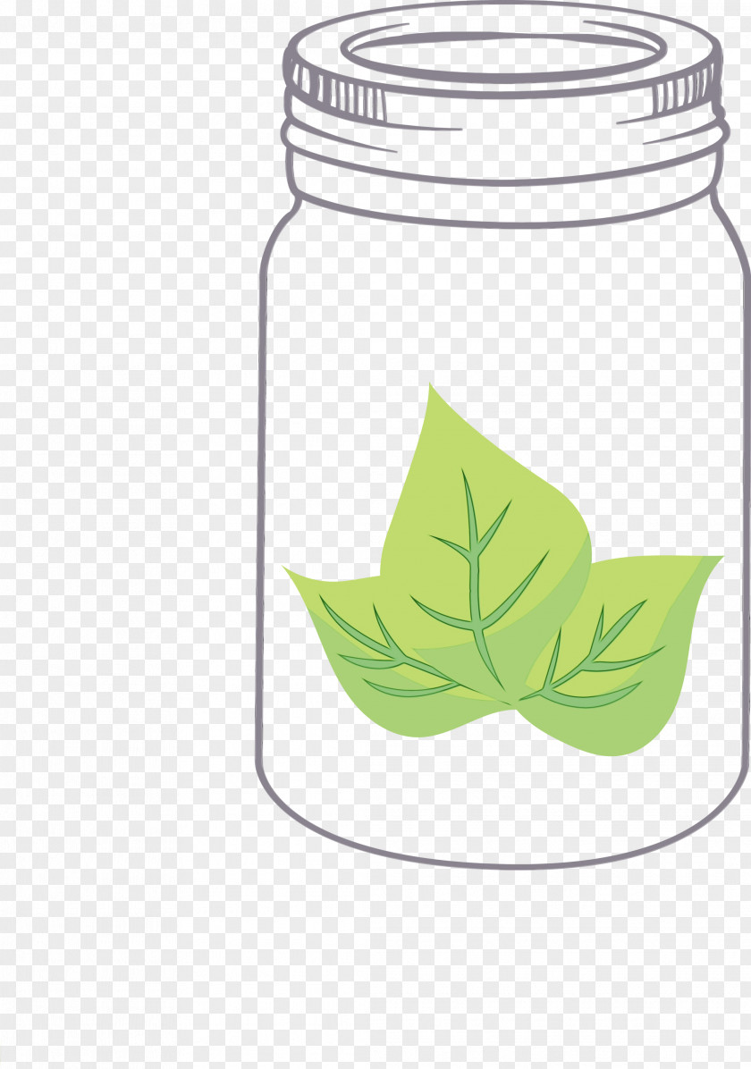Leaf Green Tree Plants Plant Structure PNG