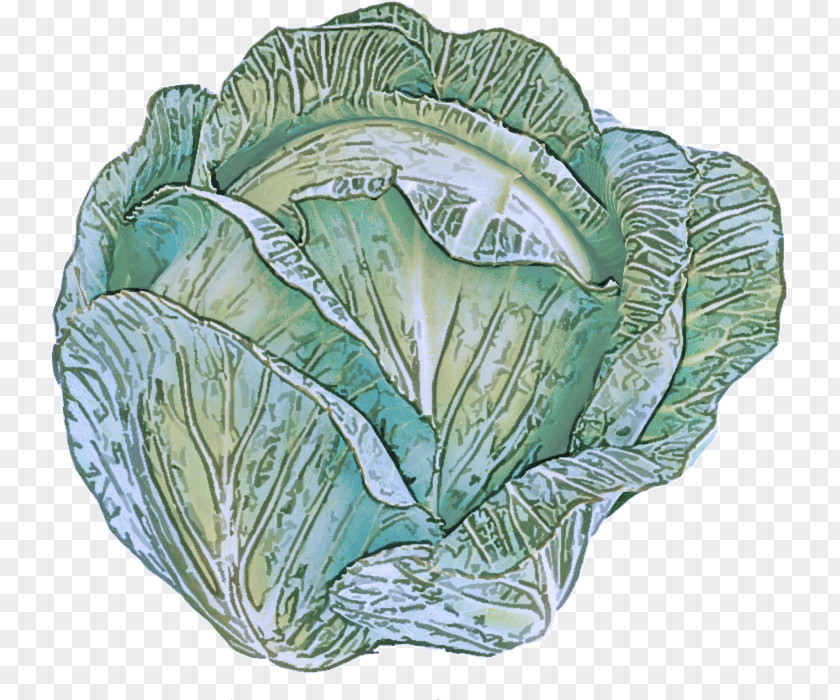 Leaf Vegetable Spring Greens Tableware PNG