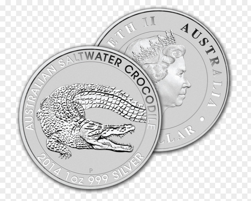 Metal Coin Gold Silver Saltwater Crocodile Freshwater PNG