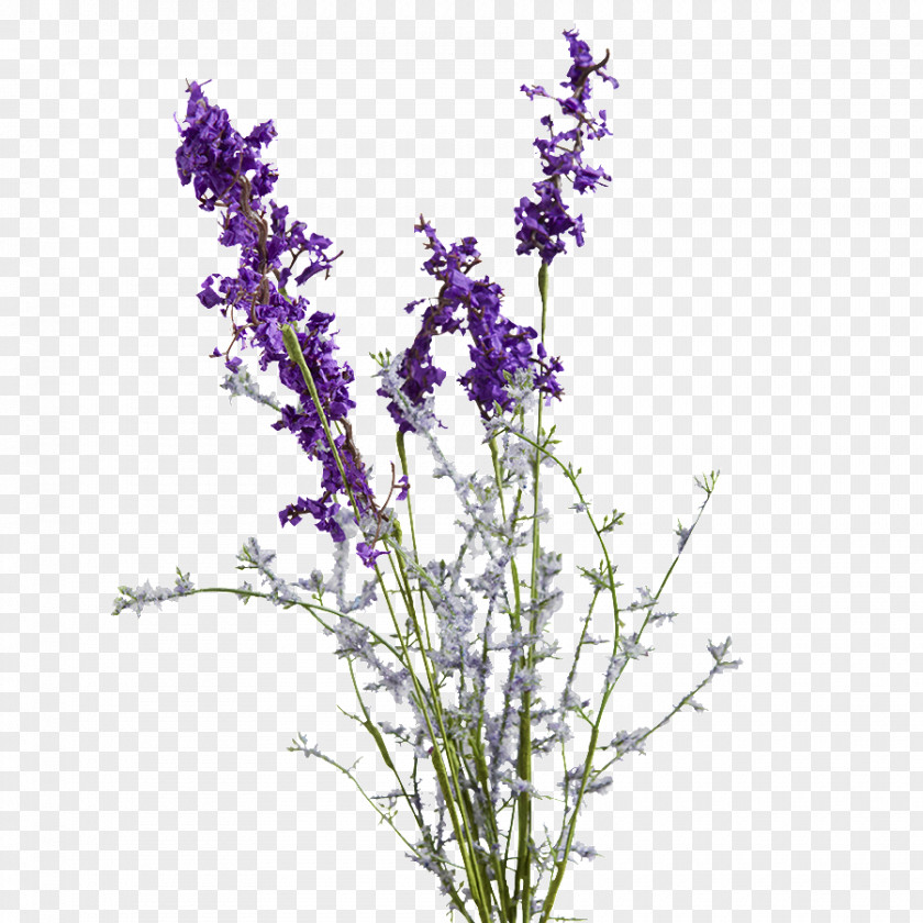 Purple English Lavender Artificial Flower Violet PNG