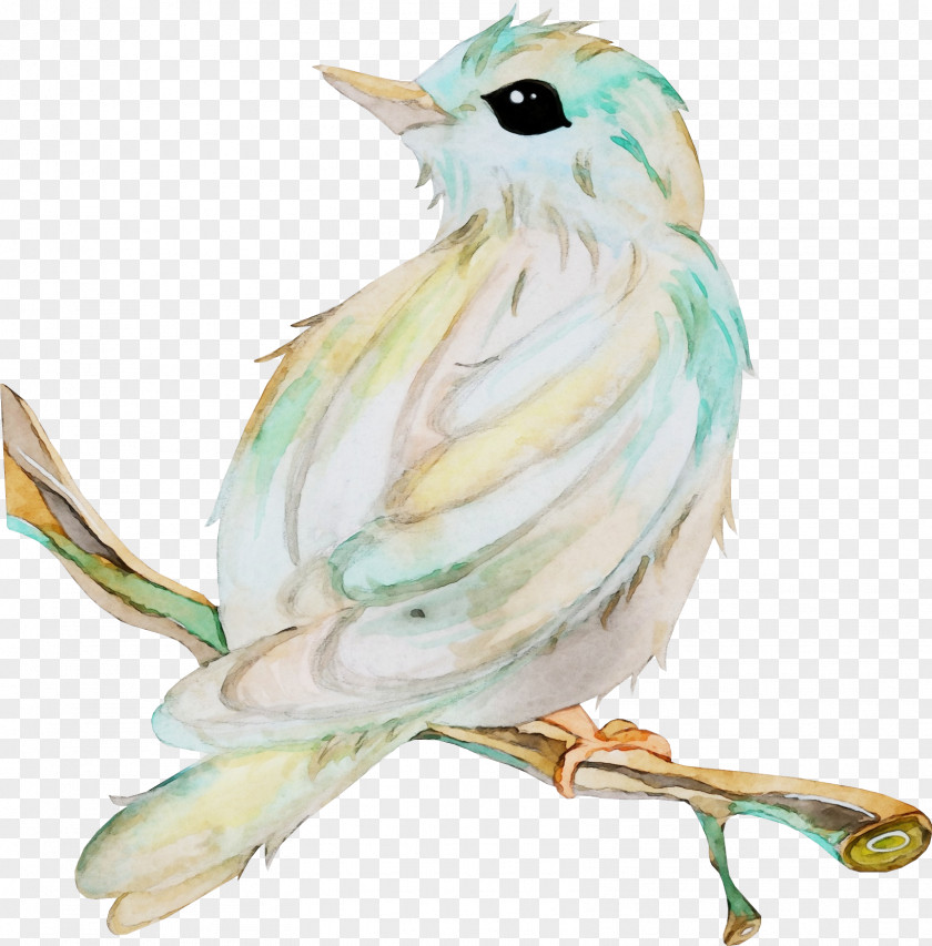 Songbird Perching Bird Tree Watercolor PNG
