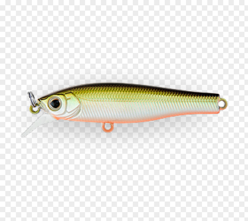 Spoon Lure Oily Fish Herring Osmeriformes PNG