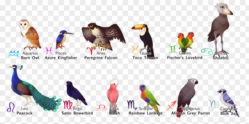 Virgo Zodiac Eagle Bird Beak Astrological Sign PNG