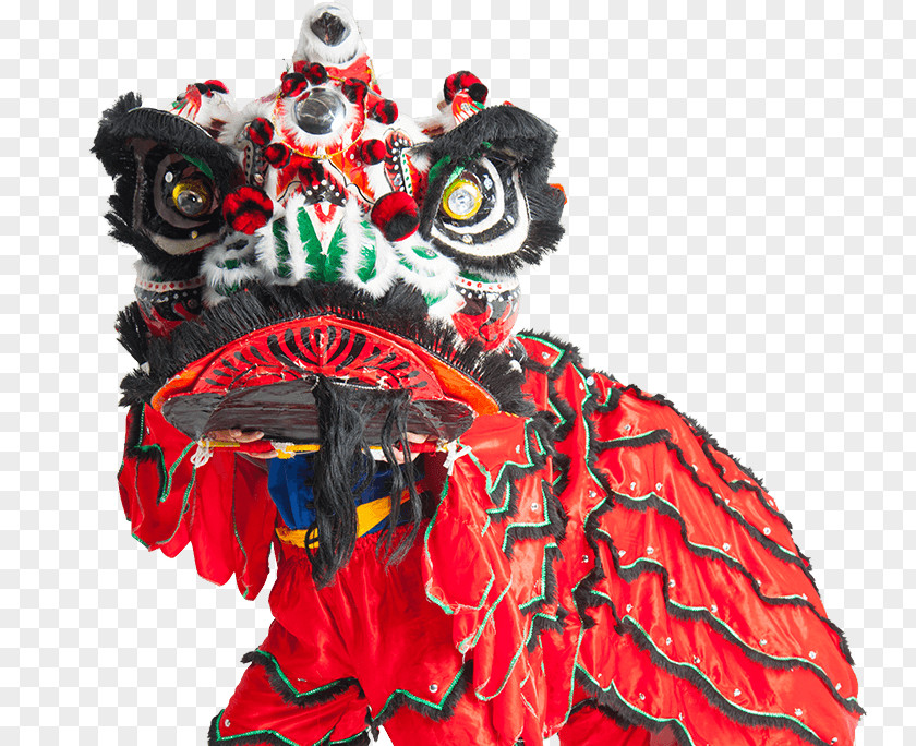 Chinese Painting Perth Lion Dance Dragon Martial Arts PNG
