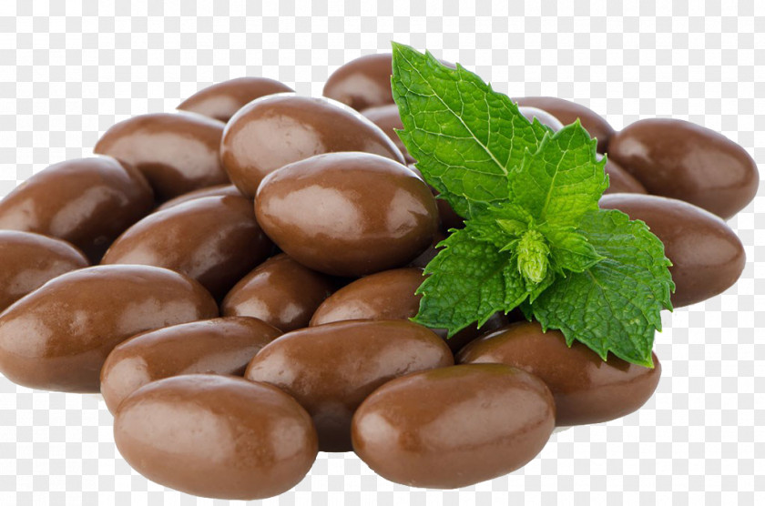 Chocolate Beans Cocido Cocoa Bean PNG