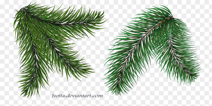 Christmas Tree Spruce Twig Ornament PNG