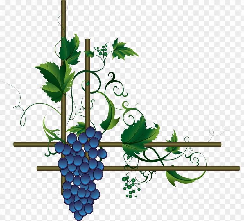 Grape Wine Leaves Merlot PNG