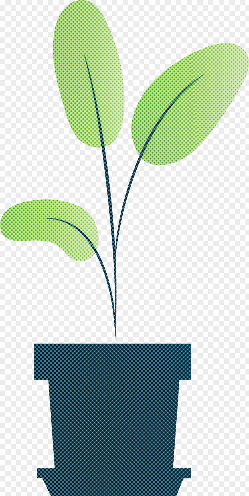 Leaf Plant Stem Green Branch Vascular PNG